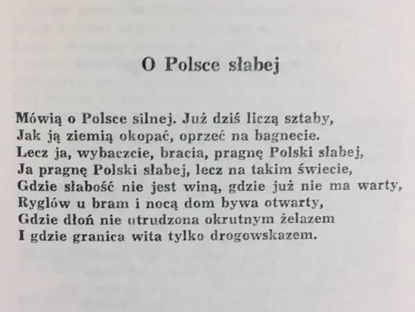 Wiersz Polska Antoniego Słonimskiego: Głębia metafor i emocji