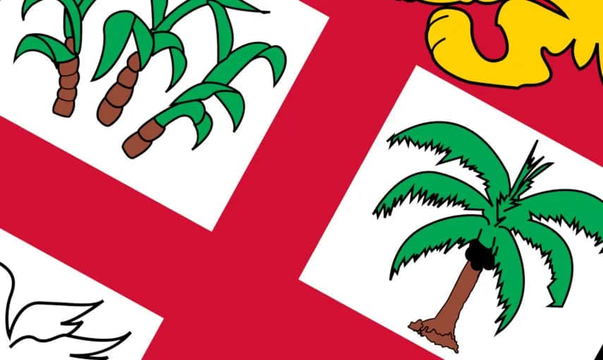 Rumianek symbol jakiego kraju – odkryj jego niemieckie korzenie